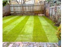 Landscape Gardener, Fencer, Driveway Paver in Norbury