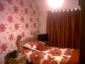 Plasterer, Painter &amp; Decorator, Damp Proofing Specialist in Bristol