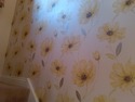 Painter &amp; Decorator, Plasterer, Restoration &amp; Refurb Specialist in Leicester