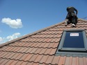 Roofer, Garage &amp; Shed Builder, Chimney &amp; Fireplace Specialist in Birmingham