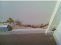 Install Trickle Vents and Clean Damp