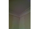 Install Trickle Vents and Clean Damp