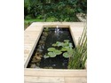 Landscape Gardener, Fencer, Tree Surgeon in Newport
