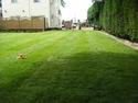 Landscape Gardener, Fencer, Driveway Paver in Nottingham