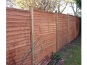 Painter &amp; Decorator, Fencer, Restoration &amp; Refurb Specialist in Paisley