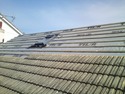 Roofer, Chimney &amp; Fireplace Specialist, Garage &amp; Shed Builder in Paignton