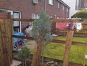 Fencer in Epsom