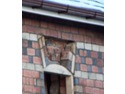 Bricklayer, Stonemason, Chimney &amp; Fireplace Specialist in Bury