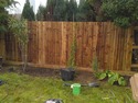 Fencer in Epsom