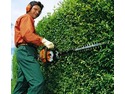 Landscape Gardener, Tree Surgeon, Groundworker in Teignmouth