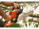 Landscape Gardener, Tree Surgeon, Groundworker in Teignmouth