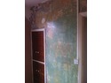 Plasterer, Painter &amp; Decorator, Restoration &amp; Refurb Specialist in Catford