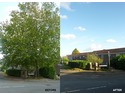 Tree Surgeon in Bristol