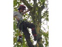 Tree Surgeon in Bristol
