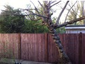 Carpenter &amp; Joiner, Conversion Specialist, Garage &amp; Shed Builder in Chertsey