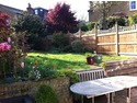 Landscape Gardener, Fencer, Driveway Paver in Norbury