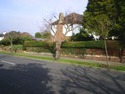 Painter &amp; Decorator, Fencer, Tiler in South Croydon