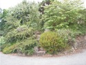 Landscape Gardener, Tree Surgeon, Groundworker in Teignmouth