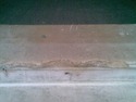 Stonemason in Herne Hill