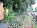 Landscape Gardener, Groundworker, Fencer in Walsall