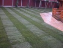 Groundworker, Driveway Paver, Conversion Specialist in Bolton