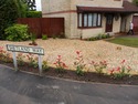 Landscape Gardener, Fencer, Driveway Paver in St George
