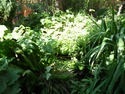 Landscape Gardener, Fencer, Driveway Paver in St George