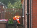 Damp Proofing Specialist, Restoration &amp; Refurb Specialist in Manchester