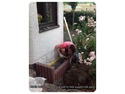 Landscape Gardener, Driveway Paver, Fencer in Teddington