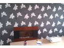 Painter &amp; Decorator, Restoration &amp; Refurb Specialist, Security System Installer in Larkhall