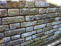 Plasterer, Damp Proofing Specialist in North Finchley