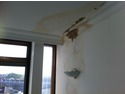Plasterer, Damp Proofing Specialist in North Finchley