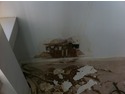 Plasterer, Damp Proofing Specialist in North Finchley