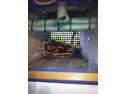 Damp Proofing Specialist in Colchester
