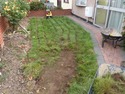 Fencer, Landscape Gardener, Tree Surgeon in London