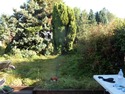 Fencer, Landscape Gardener, Tree Surgeon in London