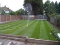Fencer, Landscape Gardener, Tree Surgeon in London