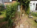 Fencer, Landscape Gardener, Tree Surgeon in London