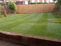 Fencer, Landscape Gardener, Tree Surgeon in London
