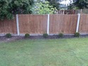 Fencer, Landscape Gardener, Tree Surgeon in London