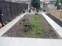 Fencer, Landscape Gardener, Tree Surgeon in London