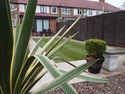 Fencer, Landscape Gardener, Tree Surgeon in London