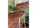 Landscape Gardener, Bricklayer, Driveway Paver in Carshalton