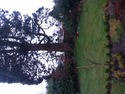 Tree Surgeon, Landscape Gardener, Groundworker in Cupar