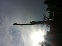 Tree Surgeon, Landscape Gardener, Groundworker in Cupar