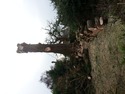 Tree Surgeon, Landscape Gardener, Groundworker in Cupar