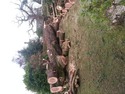 Tree Surgeon, Landscape Gardener, Groundworker in Cupar