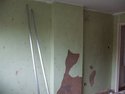 Plasterer in Telford