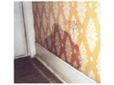Damp Proofing Specialist, Painter &amp; Decorator, Restoration &amp; Refurb Specialist in Ballingry