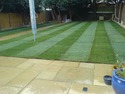 Landscape Gardener, Driveway Paver, Fencer in Walton On Thames